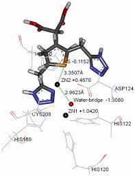 Enterokinase