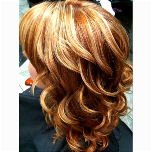 Human Hair Wigs