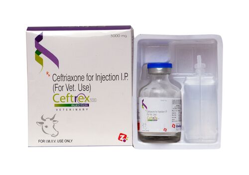 Ceftriaxone 3 gm Injection