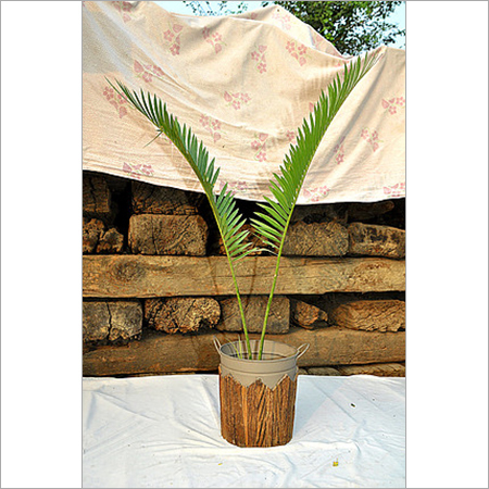Outdoor Wooden Planters