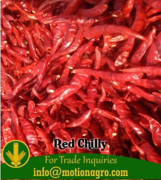 Paprika