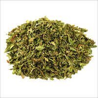 Mint Leaves