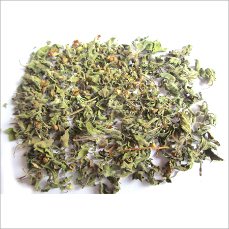 Best Price Dried Tulsi Leaves - Natural Dried Tulsi Leaves, Hygienically Processed, High-End Technology, Traditional Medicinal Uses