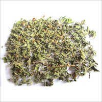 Best Price Dried Tulsi Leaves - Natural Dried Tulsi Leaves, Hygienically Processed, High-end Technology, Traditional Medicinal Uses