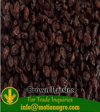 Brown Raisins / Kismis Origin: India