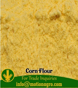 Corn Flour
