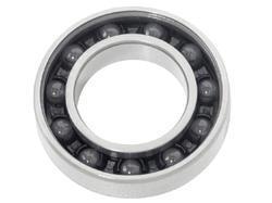 Hybrid Bearing