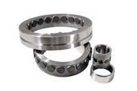 Radial Bearings