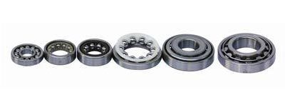 Steering Bearings Weight: 50-350 Grams (G)