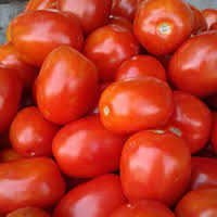 Preserved Tomato - Fresh Red Tomatoes 30-50mm & 50mm+ | No Mud, Mature, Versatile Use, Consistent Quality
