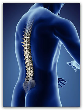 Orthopaedic Spinal Implants Orthopaedic Spinal Implants