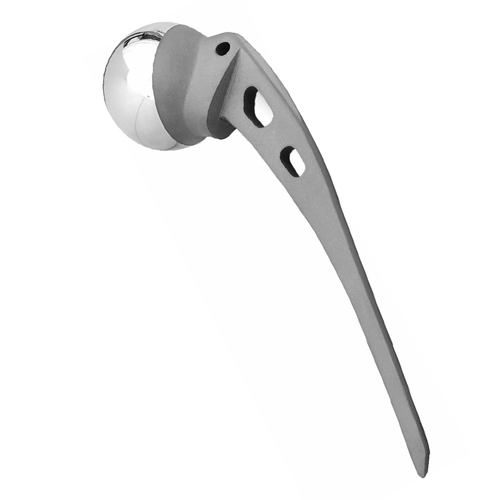 Hip Prosthesis Hip Prosthesis