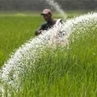 Nitrogen Fertilizer - Fco Grade Quality, 100% Result Oriented for All Crops, Versatile Application for Soil, Foliar Spray & Drip Irrigation