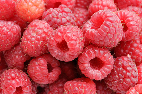Raspberry Soft Drink Concentrate