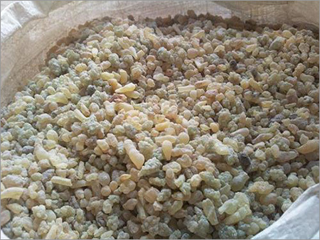 Gum Olibanum ( Loban ) Gum Olibanum ( Loban )
