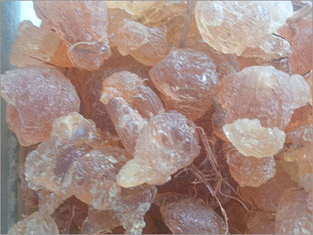 Gum Arabic Hashab Gum Arabic Hashab