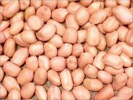 Brown Groundnut Seeds ( Spanish Type )