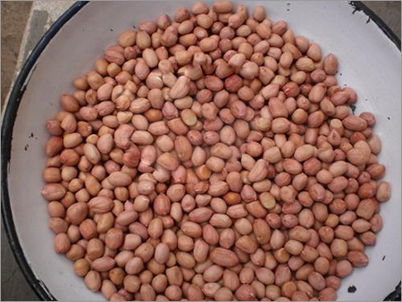 Groundnuts Java Peanuts Groundnuts Java Peanuts