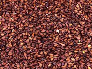 Red ( Brown ) Sesame Seeds Red ( Brown ) Sesame Seeds