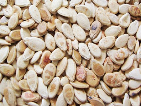 Watermelon Seeds ( Sadir Quality ) Watermelon Seeds ( Sadir Quality )