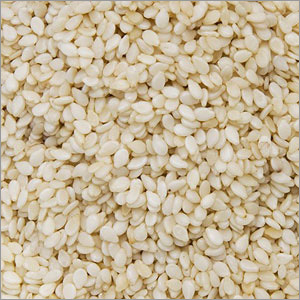 Whitish Sesame Seeds ( White Nile Quality ) Whitish Sesame Seeds ( White Nile Quality )