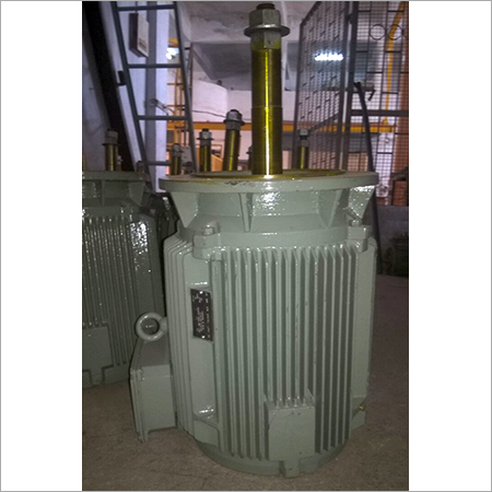 Extended Shaft Motor