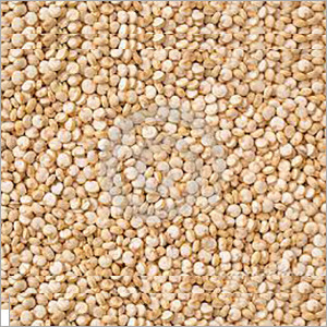 Quinoa