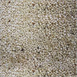 Quinoa