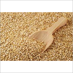 Quinoa