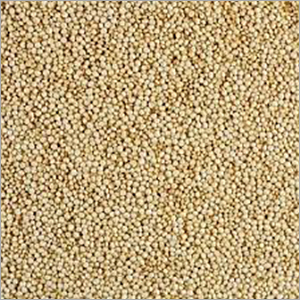Quinoa