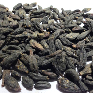 Terminalia Chebula