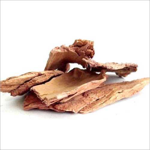 Terminalia Arjuna