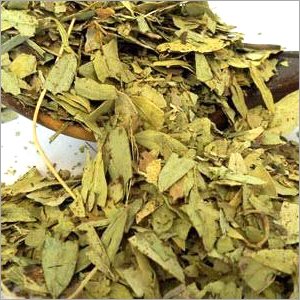 Senna Leaves