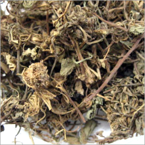 Eclipta Alba