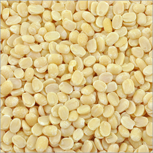 Udith Dal
