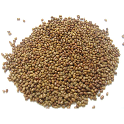 Raw Matki