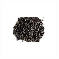 Basil Seeds