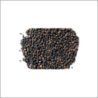 Black Pepper