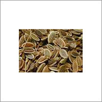Dill Seeds