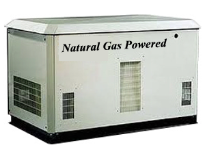 Biogas Generator