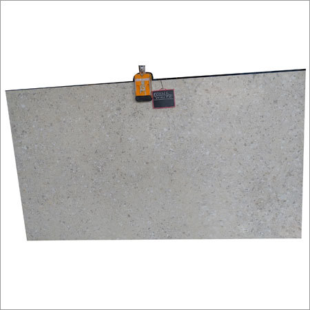 Fossil White Marble slab