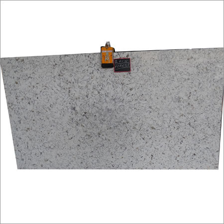 Rain Forest Slab