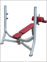 SR-430-ओलंपिक-गिरावट-पीठ