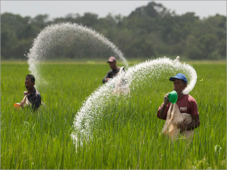 Organic Fertilizer