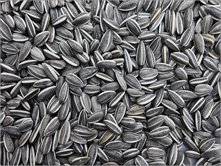 Sunflower Seeds
