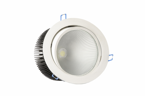 COB DOWNLIGHT, Wattage-24