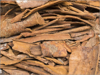 Cinnamon Bark Oil