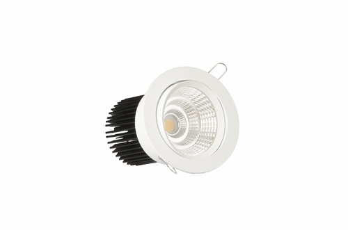 COB CEILING DOWNLIGHT 24Watt