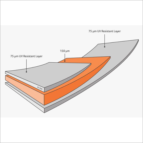 Backsheet Layers