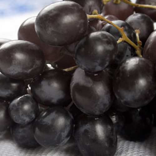 Fresh Black Grapes